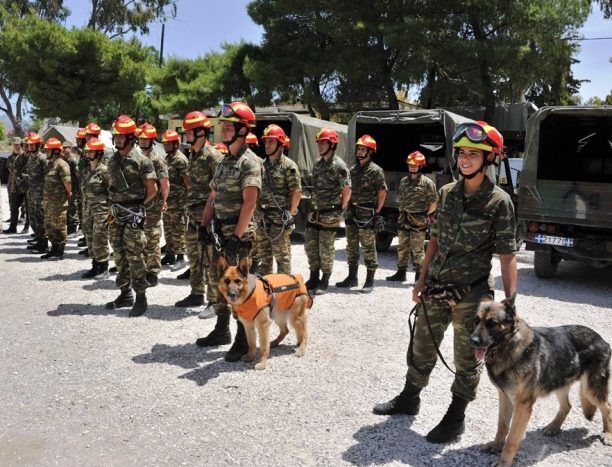 Προκηρύχθηκε ο διαγωνισμός για την αγορά 193 στρατιωτικών σκύλων
